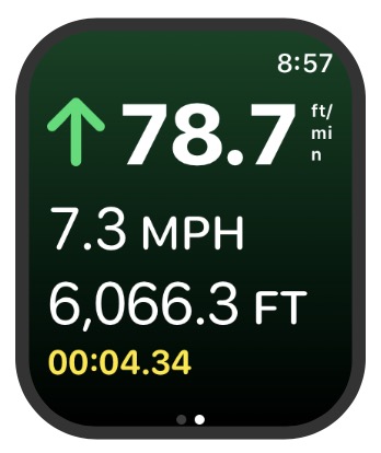 Wingman on Apple Watch